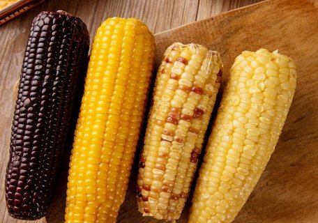 糯玉米和甜玉米有什么不同？糯玉米和甜玉米的區(qū)別