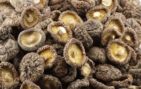 干香菇需要泡多長時間？干香菇泡發的正確方法和時間