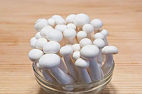 白玉菇和海鮮菇哪個好一些？白玉菇和海鮮菇的區別