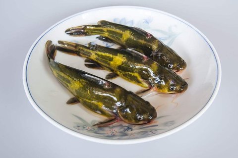 吃昂刺魚不能吃什么？吃昂刺魚的禁忌