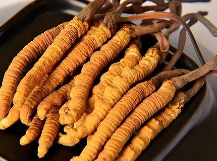 冬蟲夏草吃了對身體有什么好處？冬蟲夏草的功效與作用及食用方法