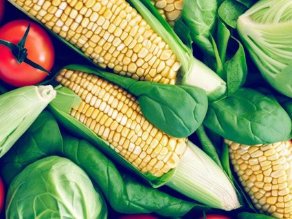 什么蔬菜促進(jìn)卵泡發(fā)育？促進(jìn)卵泡發(fā)育的蔬菜