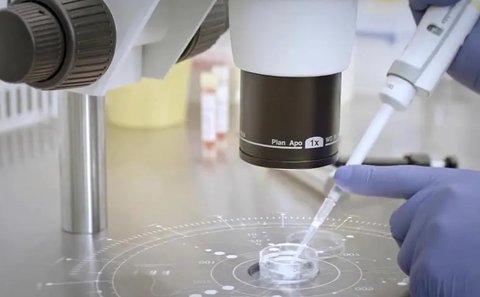 去美國做試管多少錢？去美國做試管嬰兒費用明細