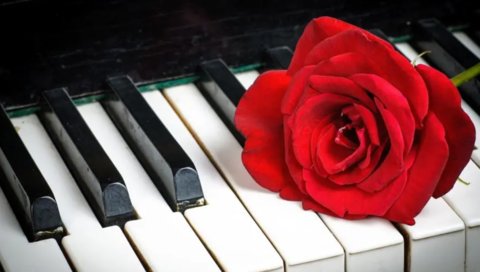 學鋼琴對孩子有什么幫助？學鋼琴的好處和重要性