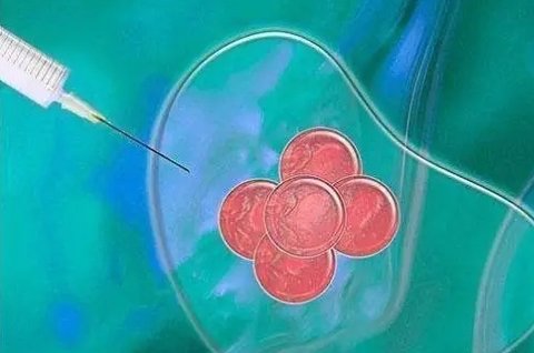 試管取卵后注意什么事項？做試管取卵后注意事項