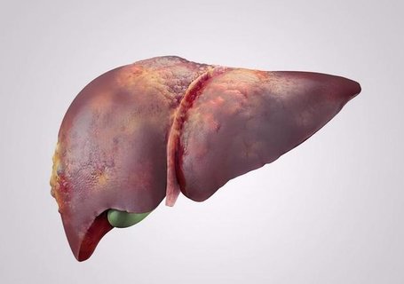 內臟脂肪等級標準1-9——了解您的健康風險