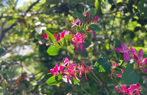 怎么敗火是最有效的？自然療法與生活習(xí)慣調(diào)整