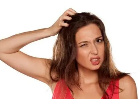 頭癢頭皮屑多怎么辦？白醋加鹽偏方的神奇功效