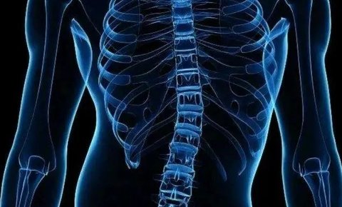 一個動作自測是否有脊柱側彎：簡單步驟與重要性