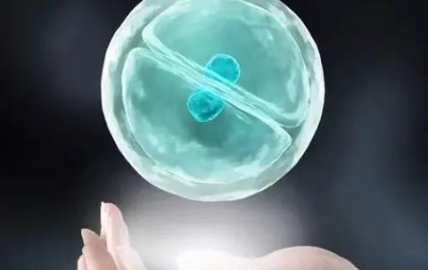 輔助生殖技術包括哪些：全面解析生育輔助手段