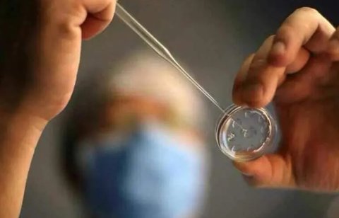 怎么去泰國做試管嬰兒比較可靠？2024去泰國做試管的攻略