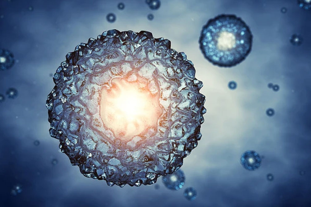 試管卵泡少成功率高嗎？試管嬰兒卵泡和成功率的關(guān)系