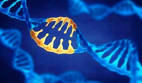 哪些遺傳病傳男不傳女？解讀性別特異性遺傳模式