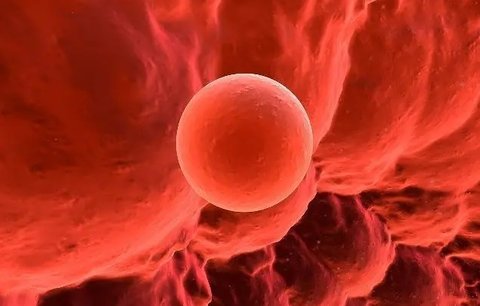 提高試管著床的秘訣！試管著床7個小妙招