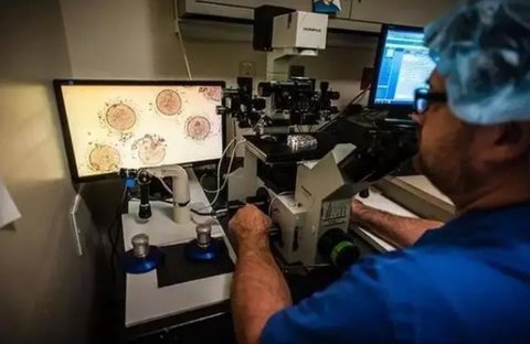 泰國凍卵需要什么條件？泰國凍卵需要的條件