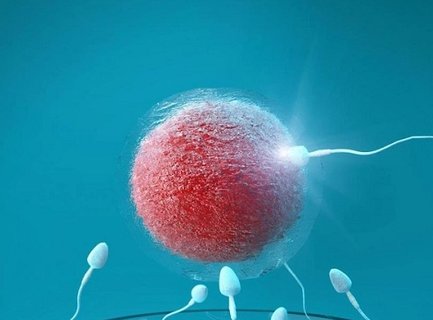 凍卵香港醫院需要提前多久預約？預約流程及注意事項