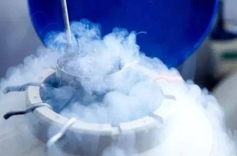 國內單身女性可以凍卵嗎？法律視角與海外選擇