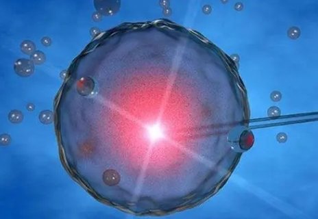 凍卵解凍成功率是多少？凍卵解凍成功率解析