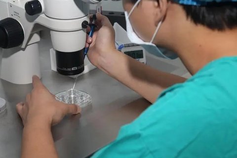 凍卵是什么意思？凍卵的好處與壞處