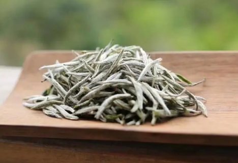 長期喝白茶對身體好嗎？喝白茶的十大好處和壞處