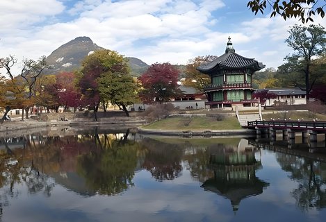 韓國女性為何不愿生孩子？韓國生育率低的原因