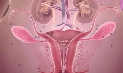 卵巢早衰可逆轉嗎能治好嗎？卵巢早衰的可逆性與治療