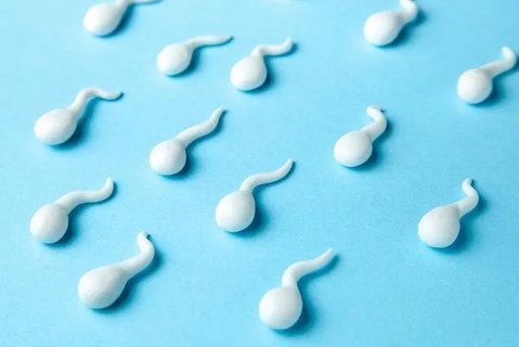 精子畸形率高可以治療嗎？改善精子質(zhì)量的方法
