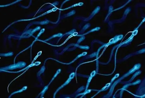 精子畸形率高能做試管嬰兒嗎？畸精癥做試管成功率