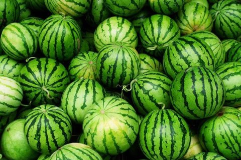 西瓜 西瓜