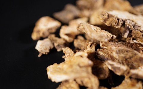 蒼術黃柏泡水喝對身體有好處嗎？蒼術黃柏泡水喝的功效與作用