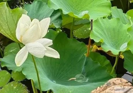 夏天這7種病或是省出來！夏天切不可瞎省錢