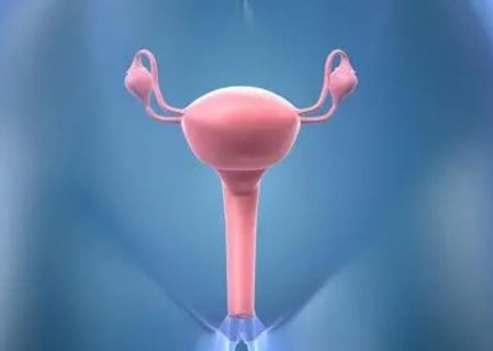 子宮下垂能不能懷孕？子宮下垂對(duì)懷孕的影響