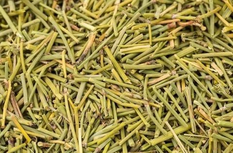 蜜麻黃要提前煮嗎？蜜麻黃的煎煮方法竅門