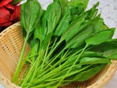 哪些蔬菜含維生素多？維生素高的蔬菜排名