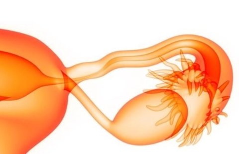 輸卵管上舉怎么讓它下來？輸卵管上舉的治療方法