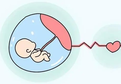 黃體期同房會不會懷孕？黃體期的懷孕機率