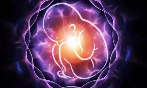 胚胎送檢可以找到胎停原因嗎？探索胚胎檢測(cè)在診斷胎停育中的作用