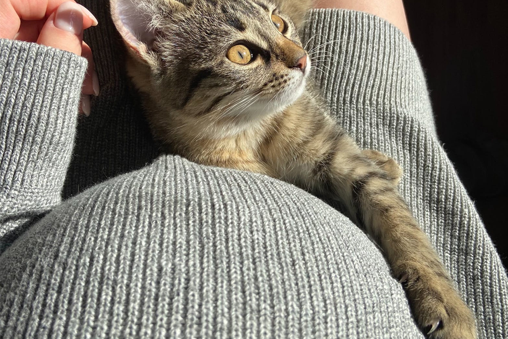 三代試管5萬能搞定嗎？費用與選擇的深度分析