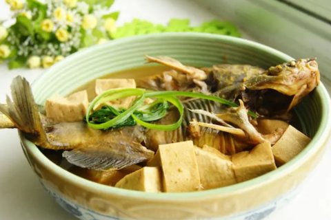 魚和什么菜搭配最好吃？和魚搭配的食材