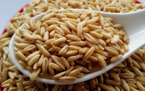 燕麥米好為什么不建議吃？燕麥米的壞處