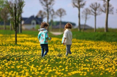 卵巢功能失調影響懷孕嗎？對懷孕的影響及應對策略