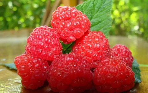女性吃樹莓有什么好處？女性吃樹莓的6個(gè)好處