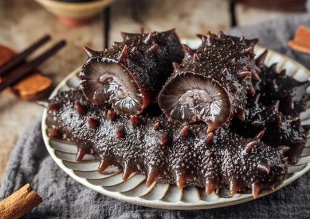 海參泡發不同天數有什么區別？海參泡發七天和三天區別