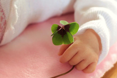 輸卵管堵塞無法疏通怎么辦？面對難題的專業(yè)建議