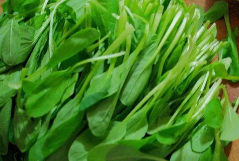 長期吃素會(huì)導(dǎo)致貧血嗎？長期吃素對(duì)身體的影響