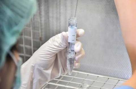 去泰國做試管男方要去幾次？詳解泰國試管嬰兒流程