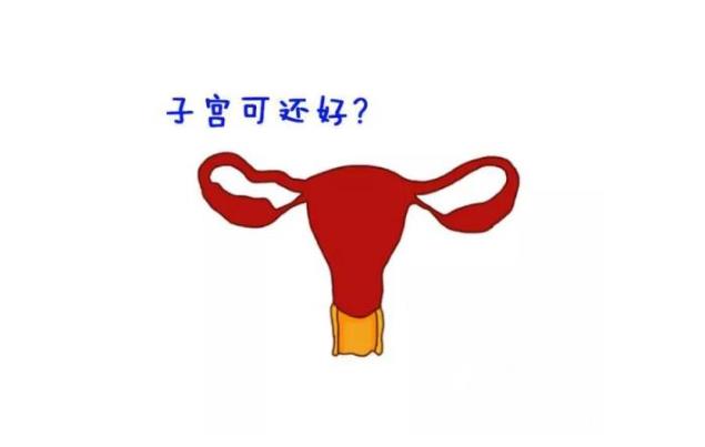 宮腔性不孕 宮腔性不孕