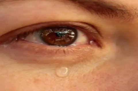 眼睛進異物了怎么辦？眼睛進異物了可以這樣做！