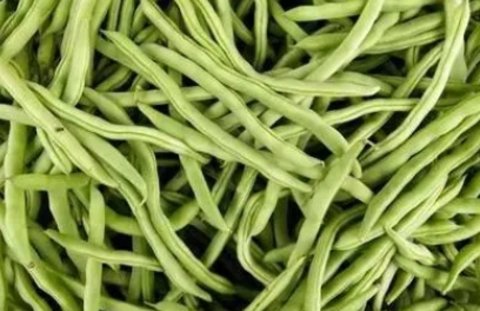 四季豆不能和什么一起吃？四季豆相克食物一覽表
