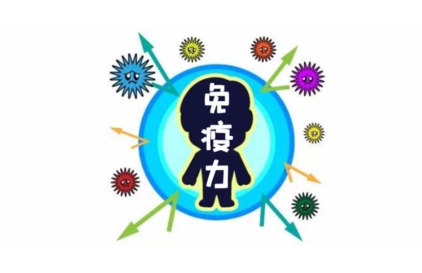增強免疫力 增強免疫力